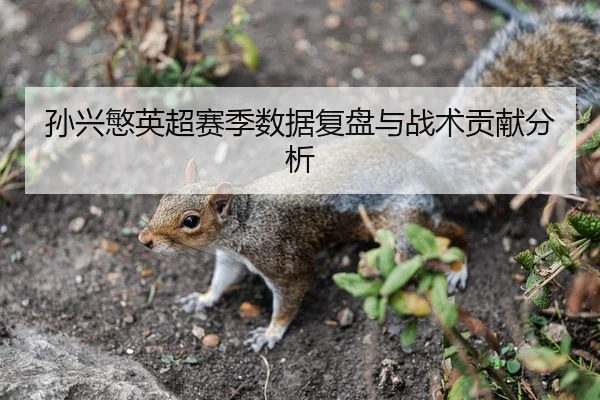 孙兴慜英超赛季数据复盘与战术贡献分析
